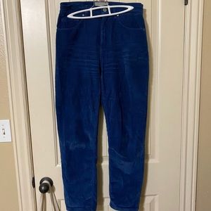 Everlane corduroy blue cheeky